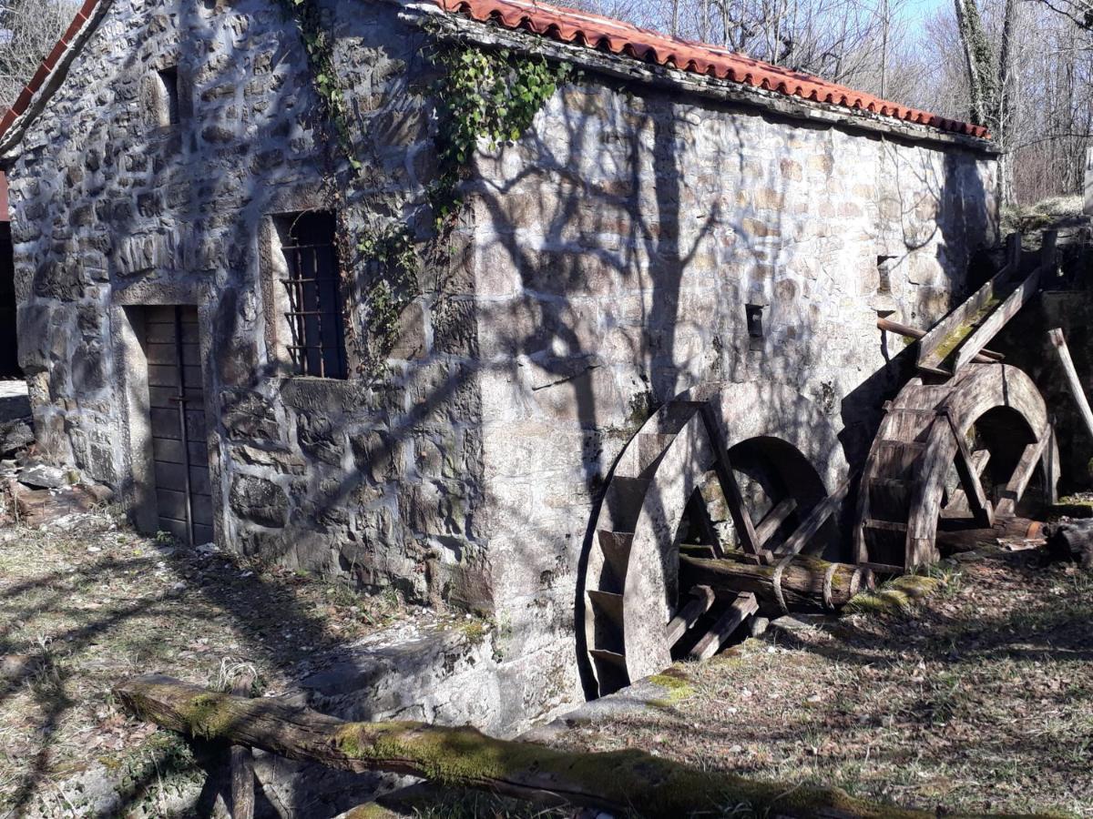 Maison d'hôtes Wine House Rakar à Gračišče Extérieur photo