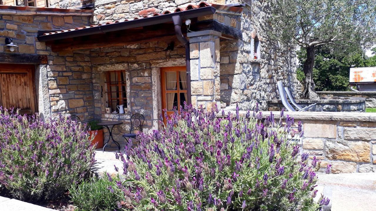 Maison d'hôtes Wine House Rakar à Gračišče Extérieur photo
