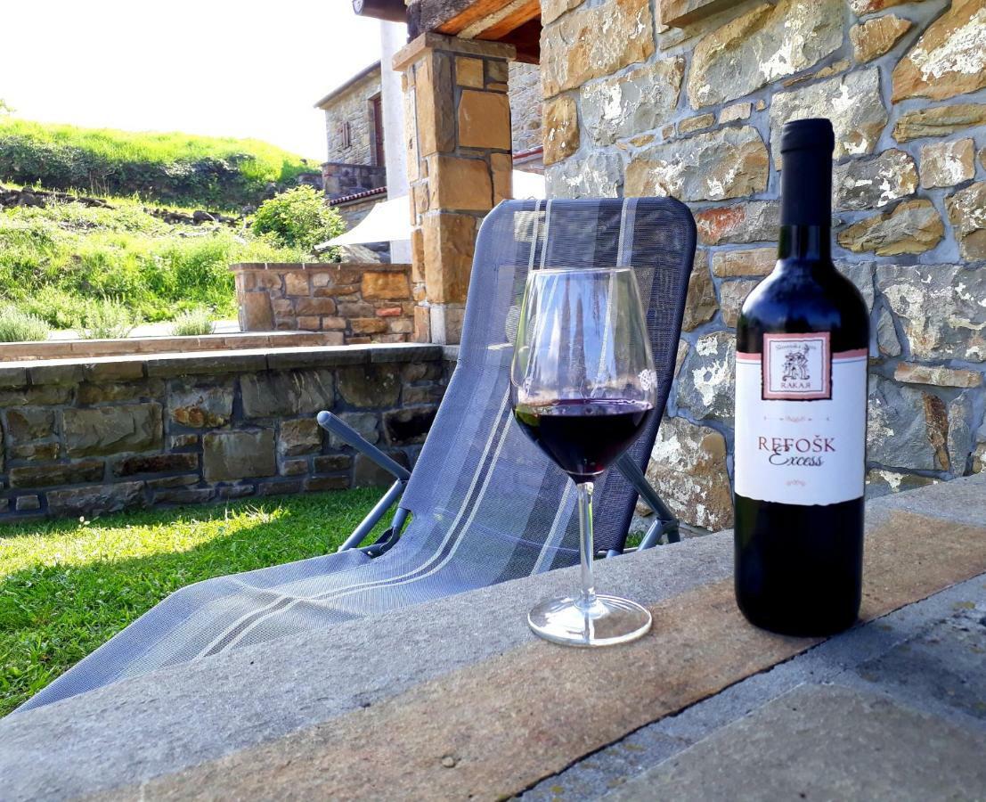 Maison d'hôtes Wine House Rakar à Gračišče Extérieur photo